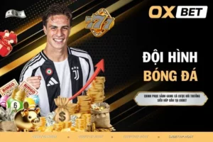 Đội hình bóng đá - Top 4 sơ đồ phổ biến nhất trong thể thao