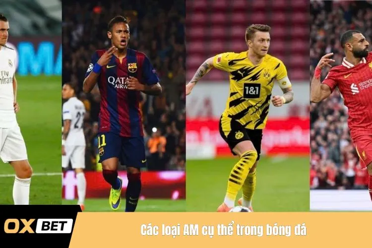 Các loại AM cụ thể trong bóng đá