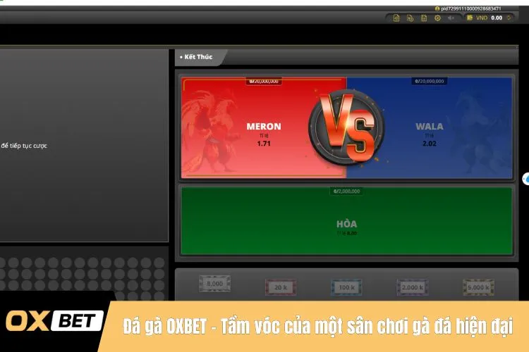 Đá gà OXBET - Tầm vóc của một sân chơi gà đá hiện đại