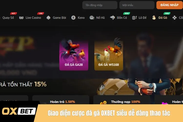 Giao diện cược đá gà OXBET siêu dễ dàng thao tác