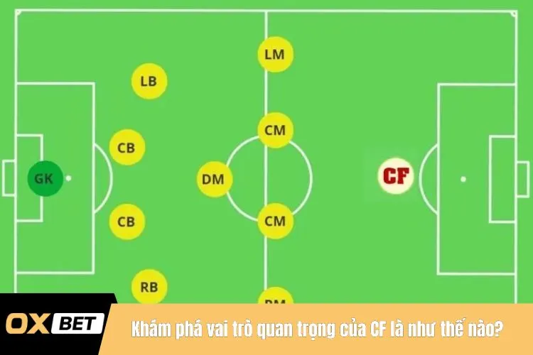 Khám phá vai trò quan trọng của CF là như thế nào?