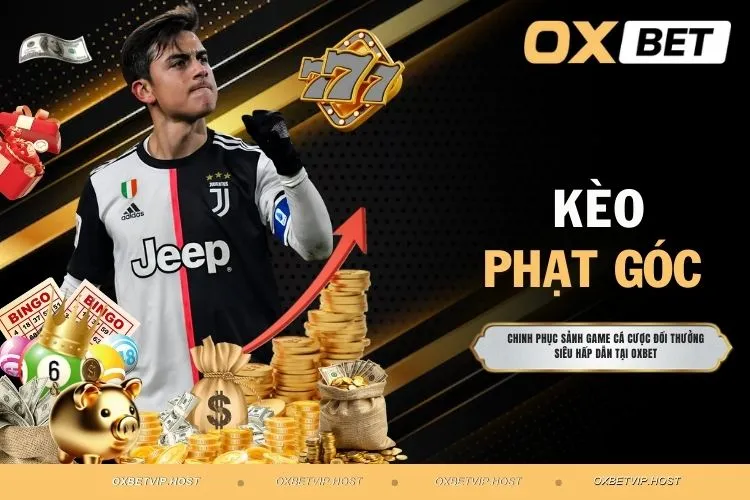 Kèo phạt góc - Bắt kèo chuẩn xác dễ húp tiền cho bet thủ