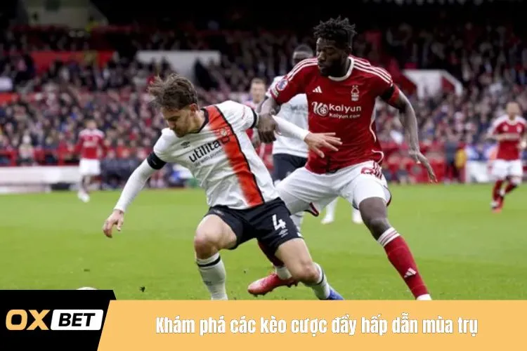 Khám phá các kèo cược đầy hấp dẫn mùa trụ