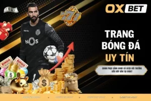 Trang bóng đá uy tín - Nguồn tin cập nhật mới nhất