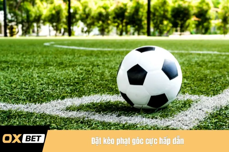 Đặt kèo phạt góc cực hấp dẫn